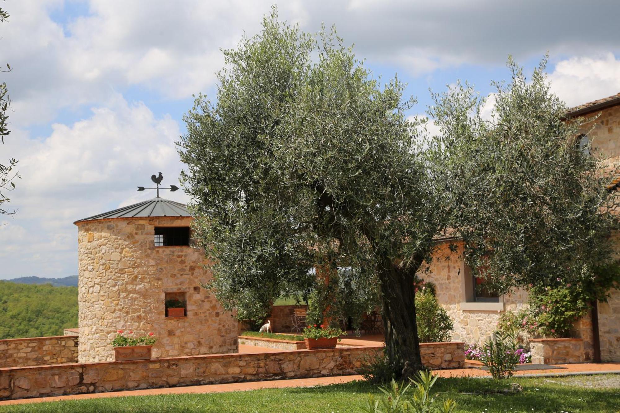 Apartamento Colombaio Di Cencio Gaiole in Chianti Exterior foto