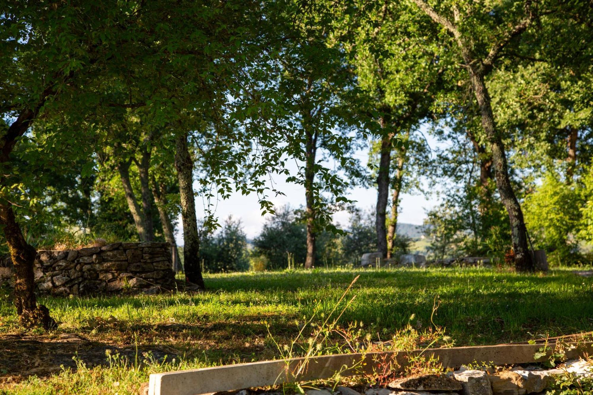 Apartamento Colombaio Di Cencio Gaiole in Chianti Exterior foto